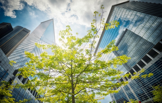 Efficienza energetica PMI-GREEN