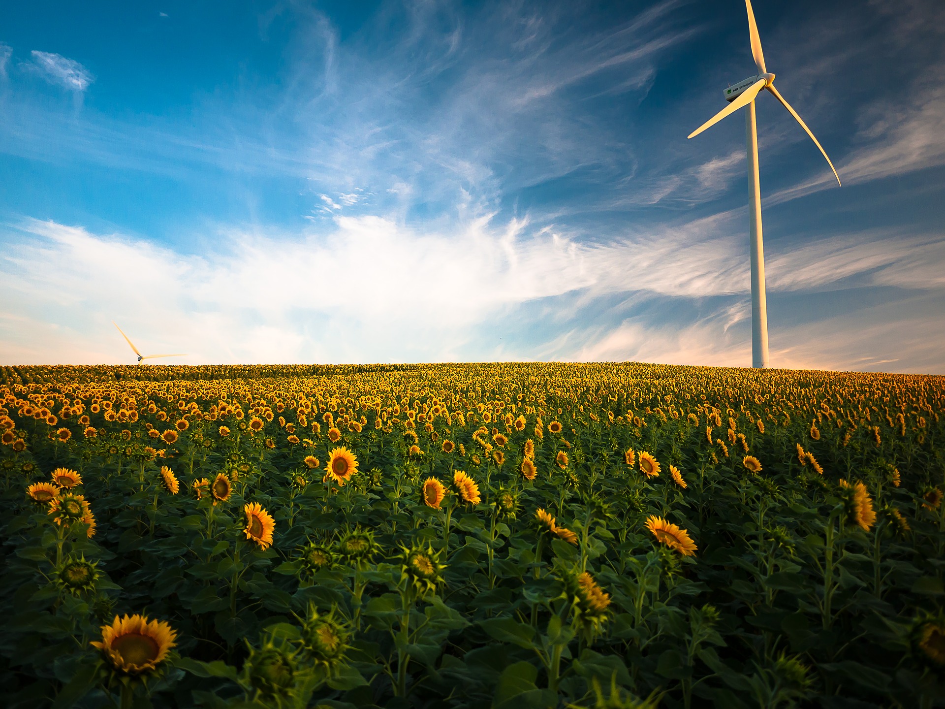 Energie rinnovabili sempre più competitive, anche con le fossili più economiche