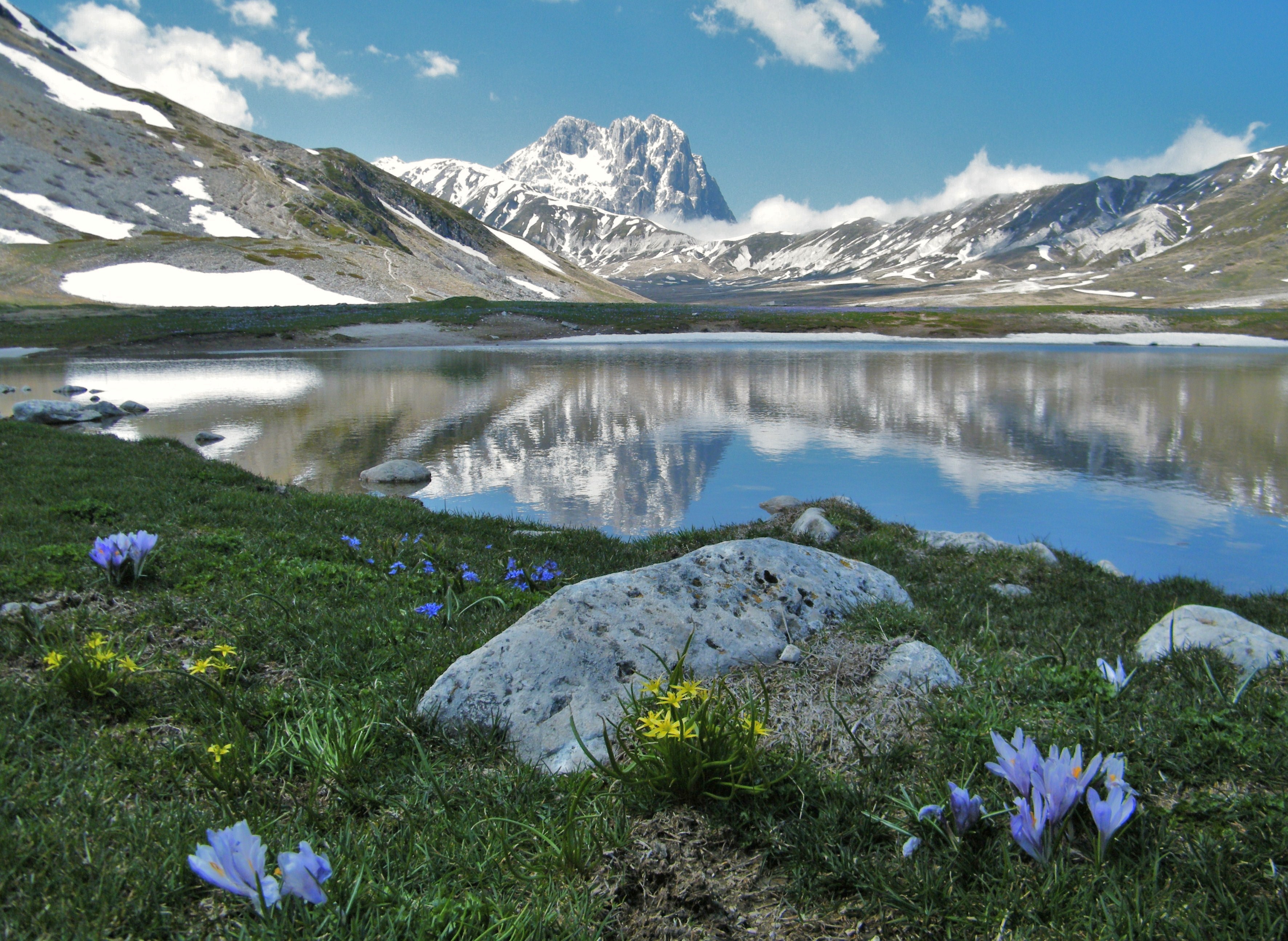 La tutela dell'ambiente, della biodiversità e degli ecosistemi entra in Costituzione